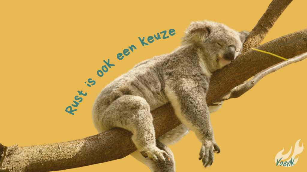 Screensaver koala Voenk