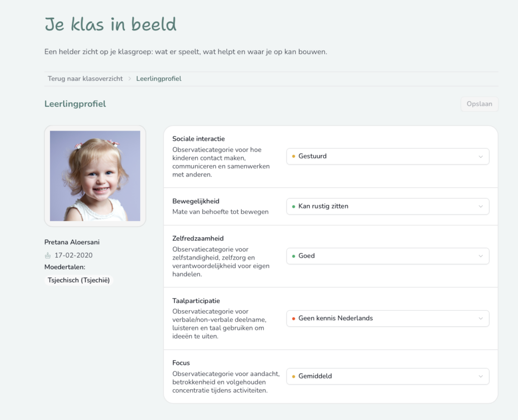 Klasprofiel Vlamme individuele leerlingfiche